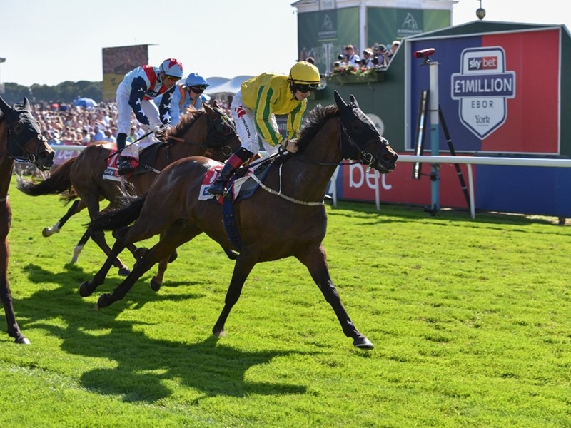 Sky Bet’s Ebor Festival to become ‘Mane’ event for Yorkshire-based charities