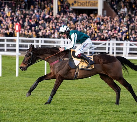 Tradition, Tribute, and Thrills: Flutter’s race to Cheltenham