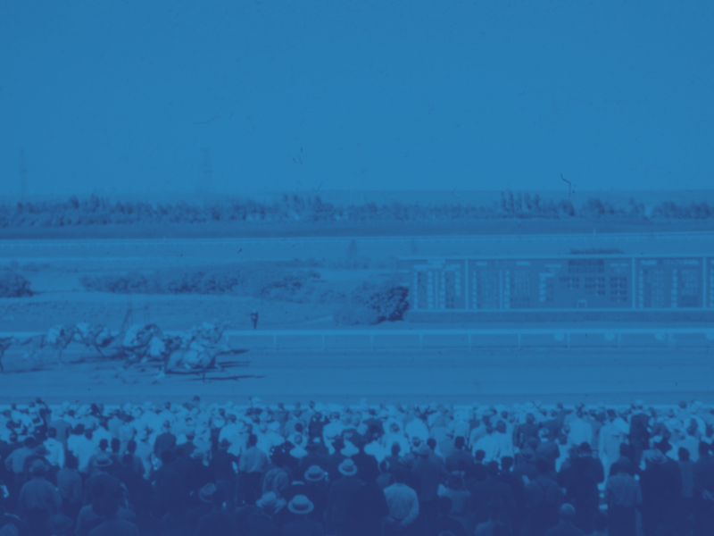 A Unique Challenge: How March Madness and the Grand National Capture The Imagination