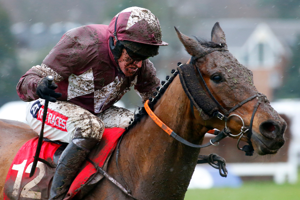 news hub horse jockey