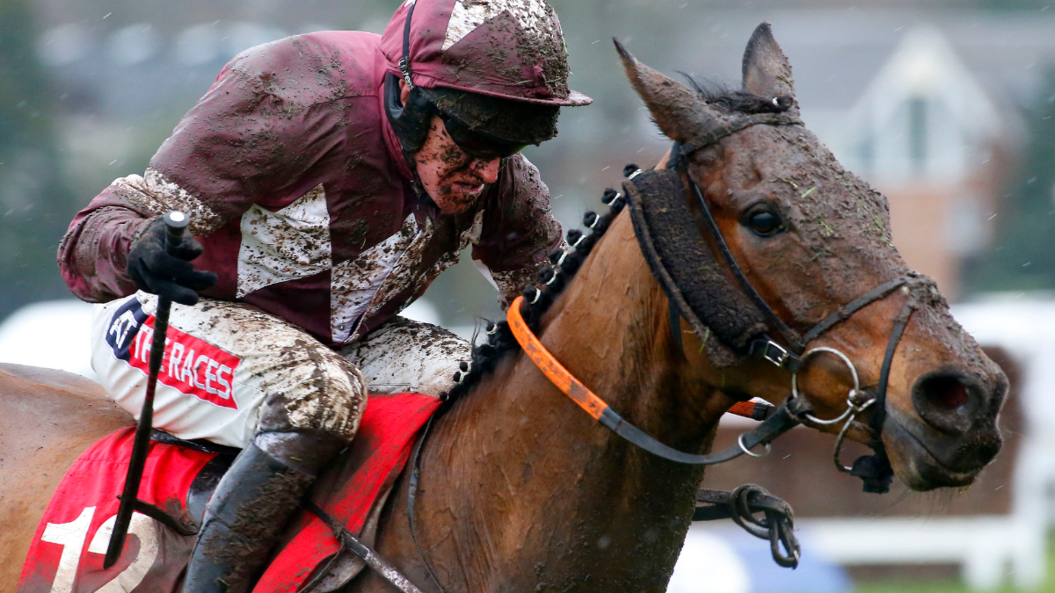 news hub horse jockey