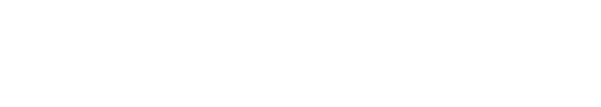 Flutter Logos 480X86 White Snai White