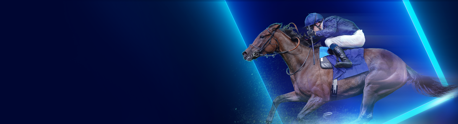 B2B Data Services Header 1550X420