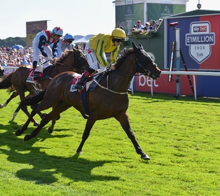 Sky Betting & Gaming and York Racecourse announce Yorkshire-based causes shortlist for Sky Bet’s Ebor Festival Community Sweepstake