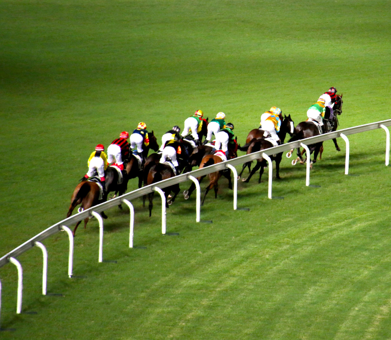 Horse Racing On Track 765 X 664