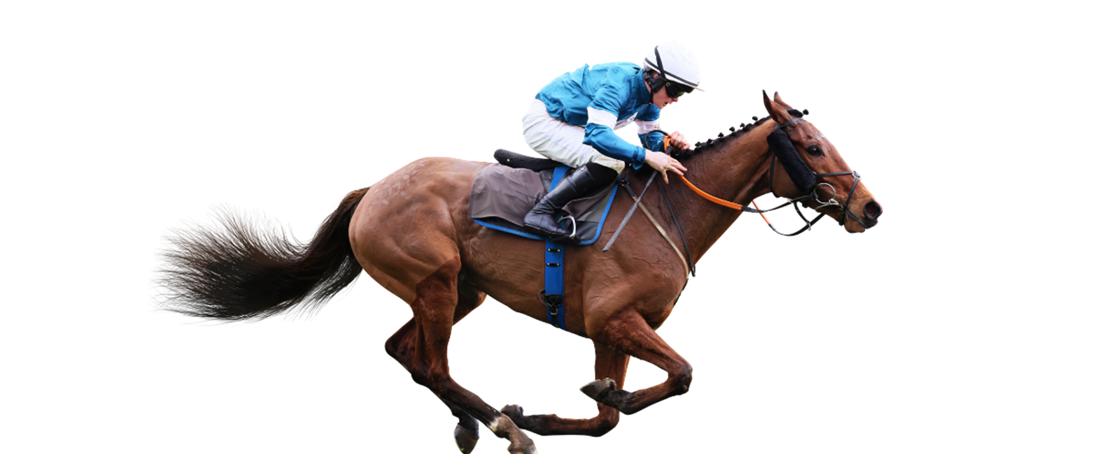 Amplifying The Thrill