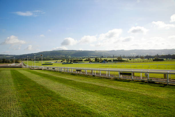 Tradition, Tribute, and Thrills: Flutter’s race to Cheltenham