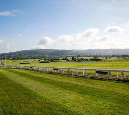 Flutter Processes 35m Bets as Punters Celebrate a Century of Cheltenham