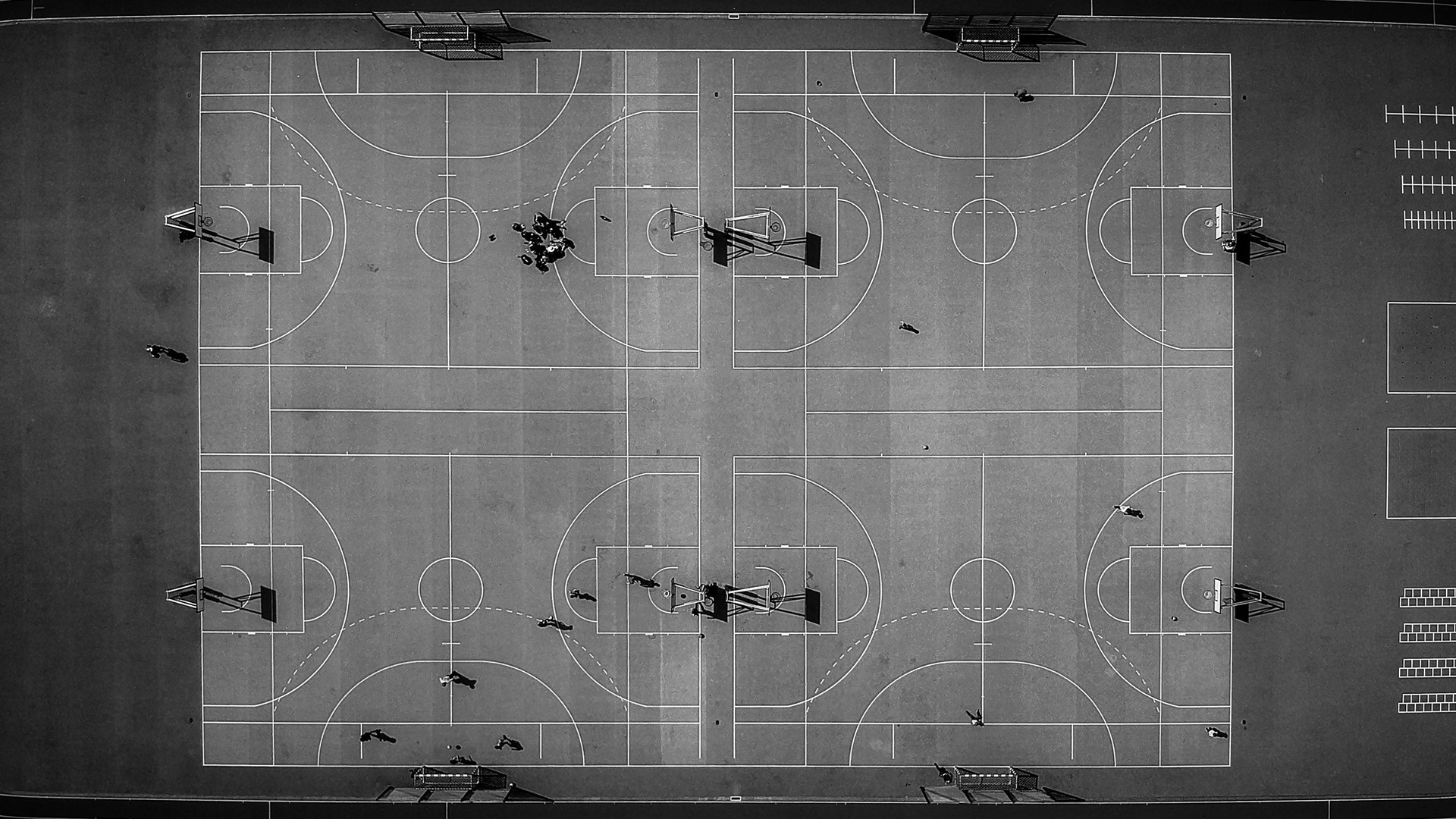 Betting on Equality: Women's Sports Generate Surge in Sports Betting