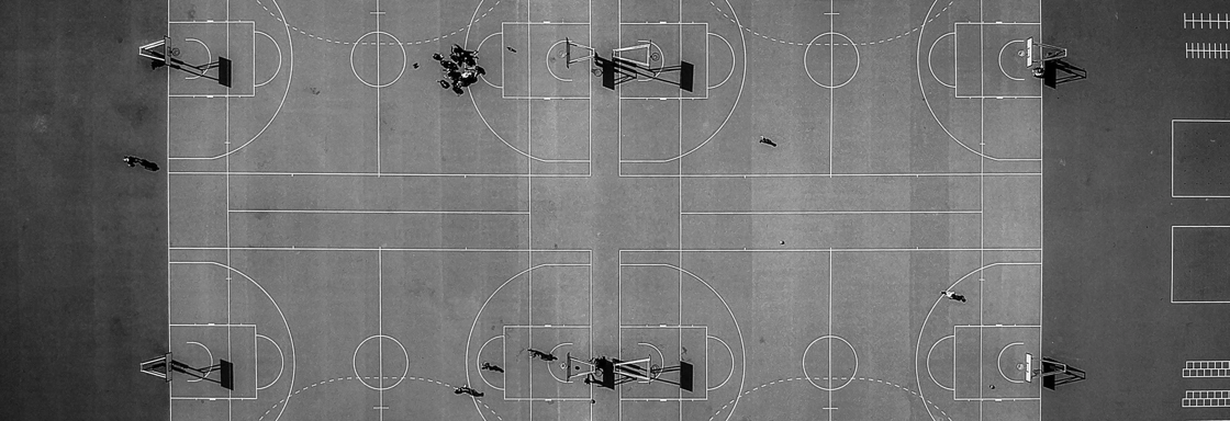 Betting on Equality: Women's Sports Generate Surge in Sports Betting