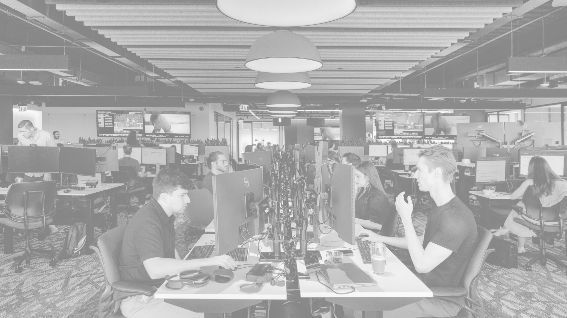 The 7,000+ Technologists Powering Flutter’s Edge