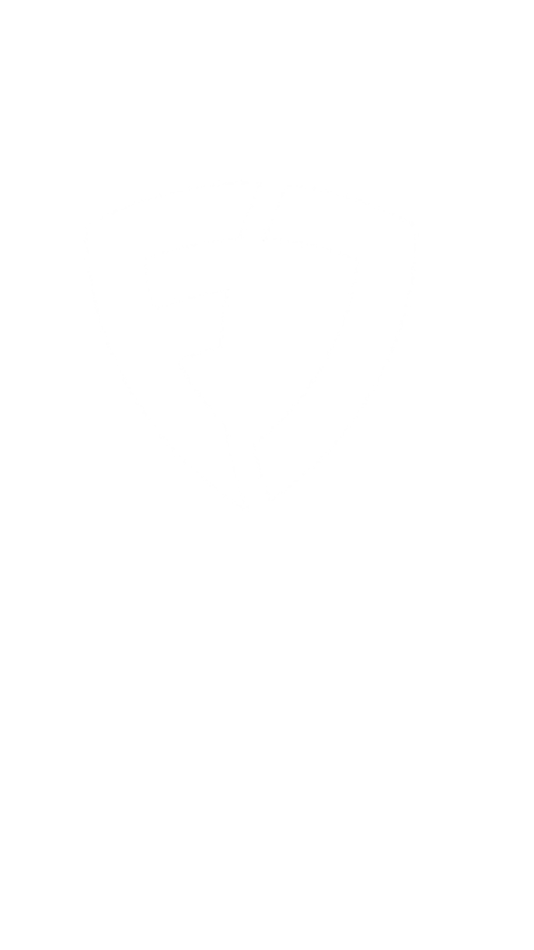 Leading through strategic partnerships