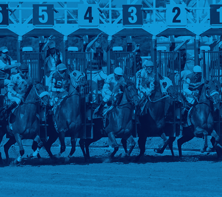 A Winning Formula: Showcasing Horse Racing to Modern Audiences