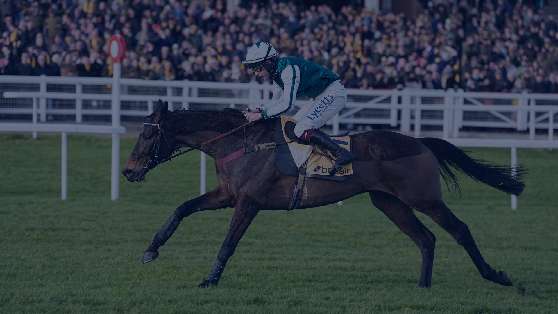 Tradition, Tribute, and Thrills: Flutter’s race to Cheltenham